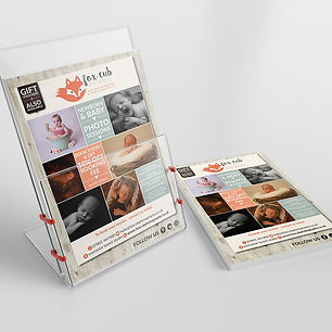 FOX CUB Transparent_Leaflet_Holder