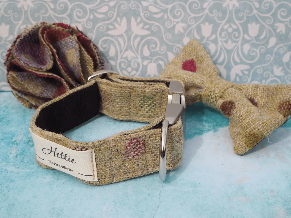 Thumbnail: Hettie Collection - Dog Bowtie - Multispot Lime