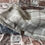 Thumbnail: The Artisan Dog Co. Luxury Dog Blanket - The Haldon Collection - 8x10