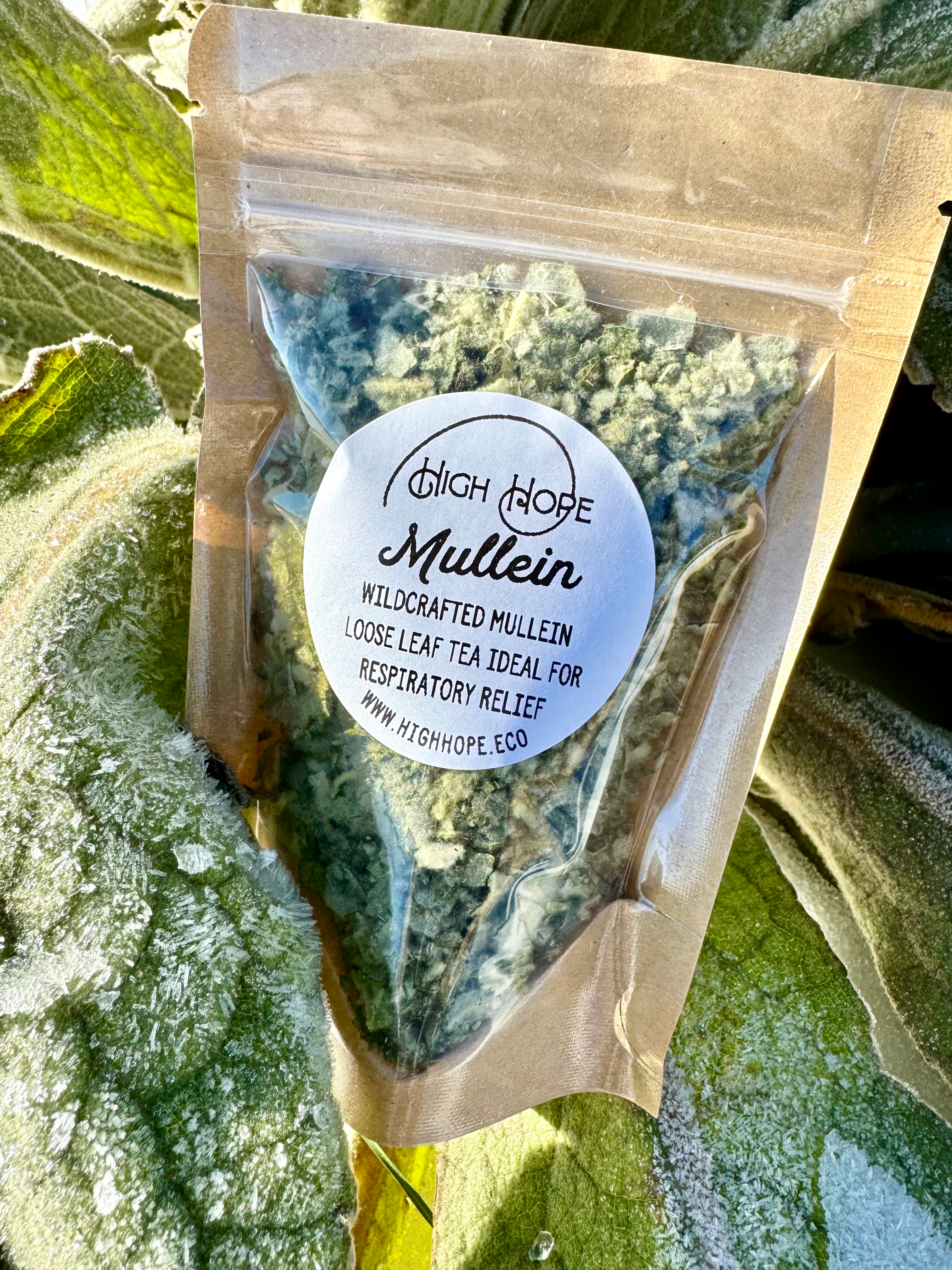 Mullein Tea