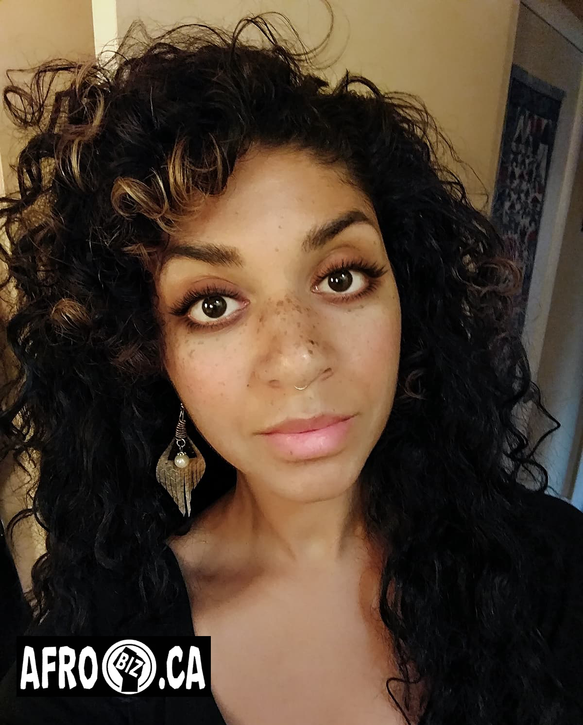 AfroBiz.ca