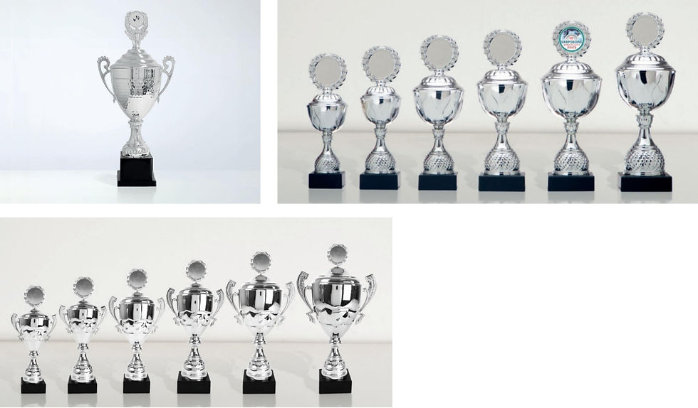 Pokal1.JPEG