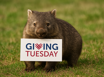 Why GivingTuesday Isn’t Magic (Or Mayhem): The Psychology Behind the Day — And How to Use It Strategically