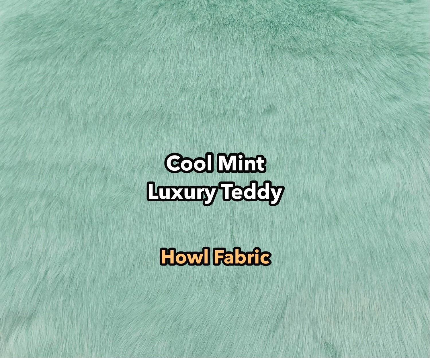 Cool Mint Luxury Teddy Faux Fur
