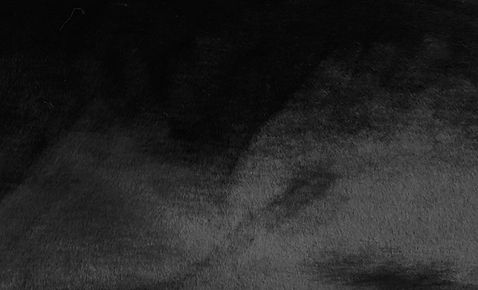 リアルミックスファー　100% ブラック Black Beaver (Super Seal) Faux Fur Fabric | Howl Fabric