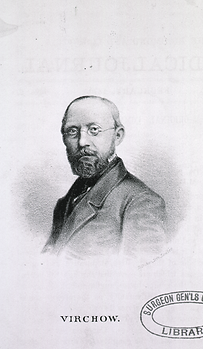 Rudolf Virchow