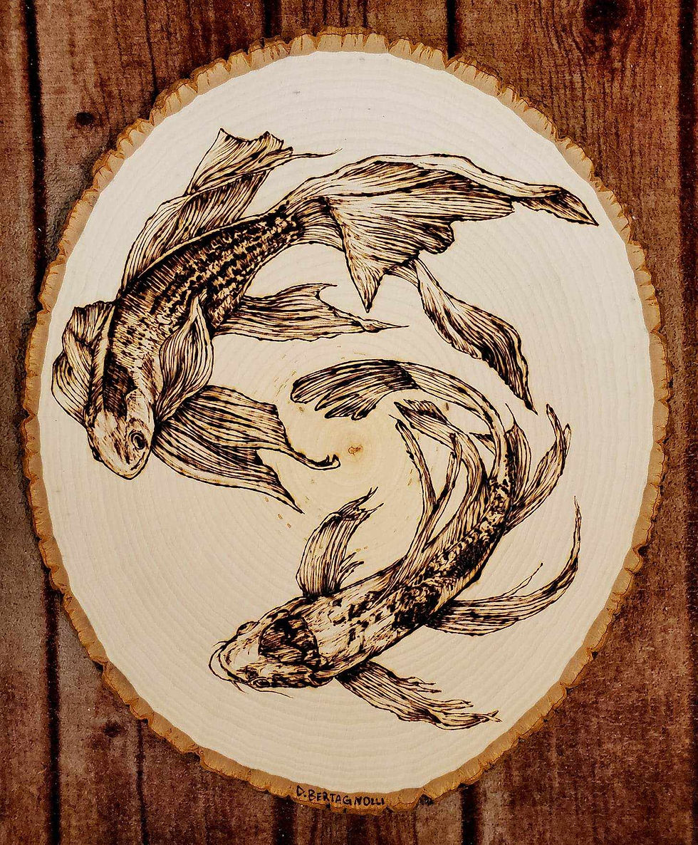 Playing Koi