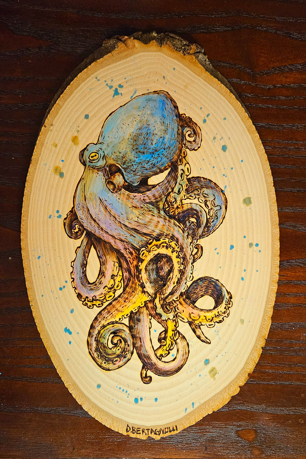 octopus