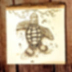 Small Turtle