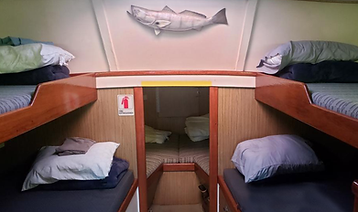 Options Bunks_.png