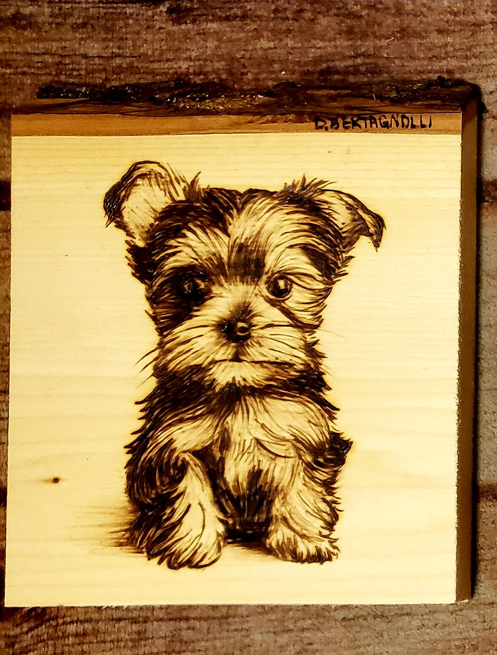 puppy