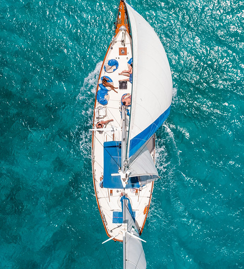 under sail directly overhead.jpg