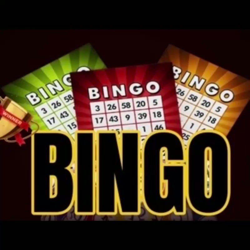 Bingo Night!!
