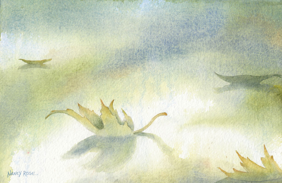 Leaves on the water