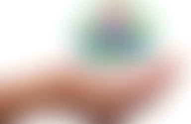 Understanding Automobile Insurance Companies: What You Need to Know