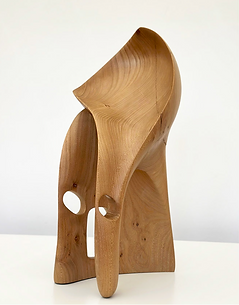 Screenshot 2026-01-31 at 21.36.54.png