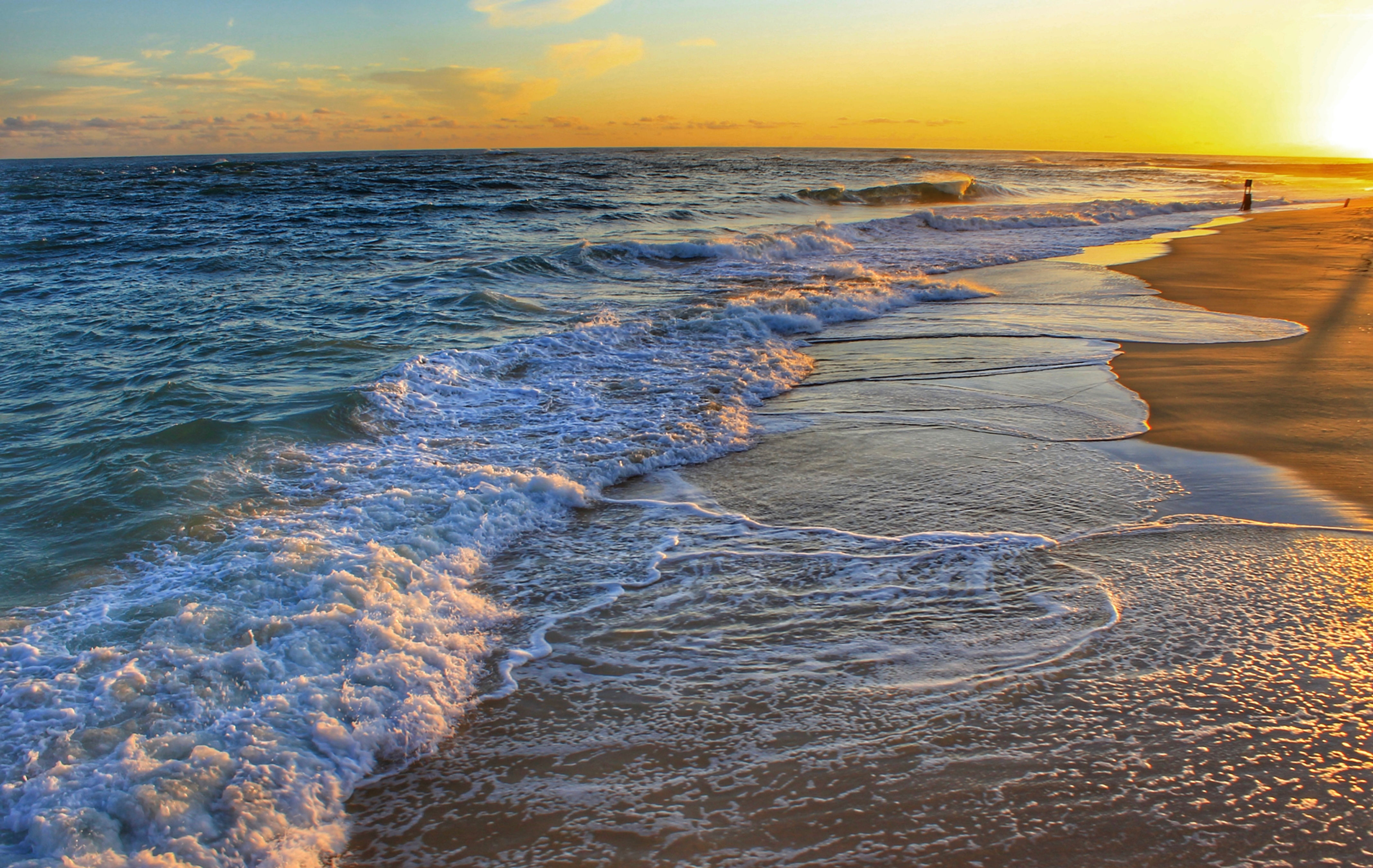 BARTHEROTTE PARADISE