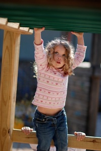 monkey bars
