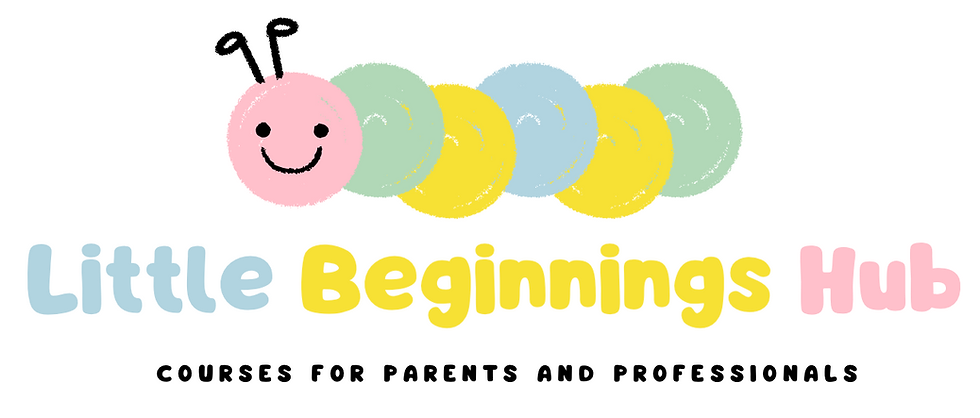 Introducing Little Beginnings Hub