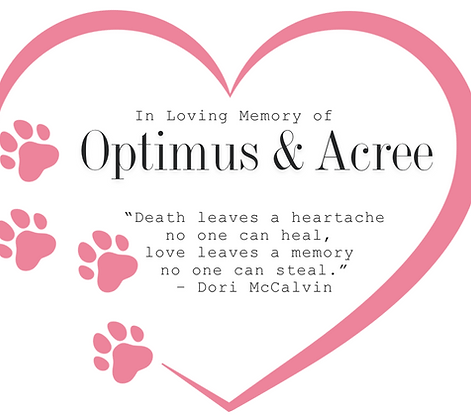 Screenshot 2025-10-06 at 10.39.33 PM.png