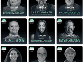 Early Voting: QUICK CANDIDATE GUIDES + Constitutional Amendments on Your Ballot