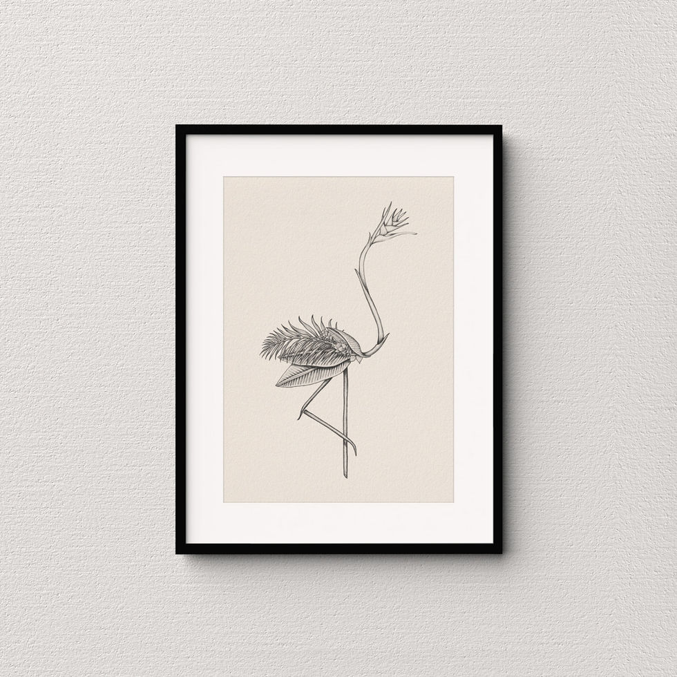 Helena artwork - Birds of Paradise - Illustration Collection