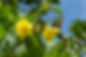 Fotos - ZIMA BELLA _148.JPG