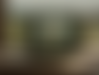 Eye-level view of a laptop displaying AI art software interface