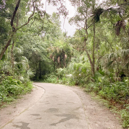 Aldermans Ford Park Family Nature Walk