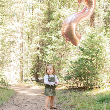 Our Girl Is Two: Happy Birthday Amelia Elyse