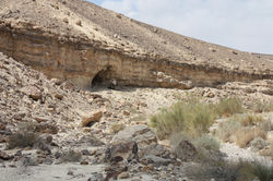 פתח מערת צרעות - מערה מרוחקת בסלע צור