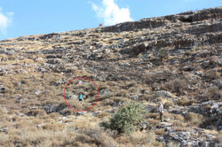 מיקום בור צבים (מוקף בעיגול אדום)