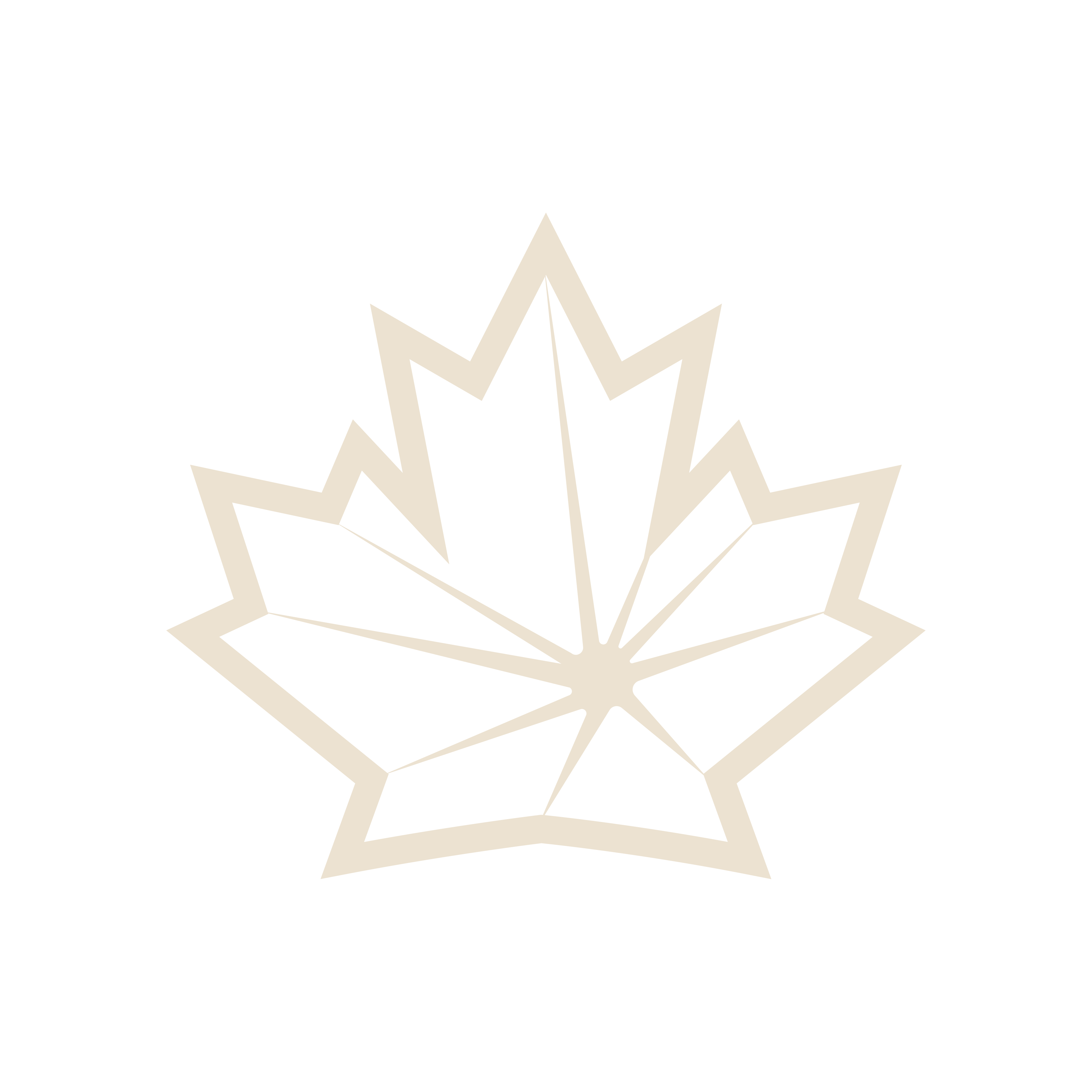Primary Brandmark_Cream.png