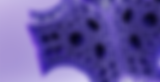 BrandImage_GRIBOI_edited.png