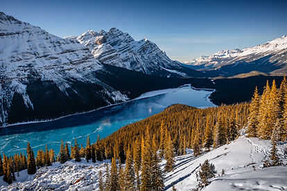 AdobeStock_240439186.jpeg