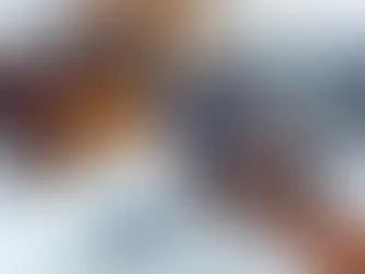 custom web app development services