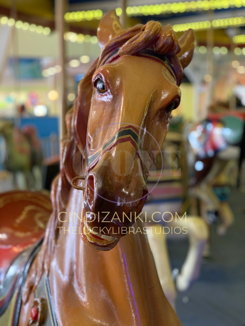 IMG_1712 with watermark