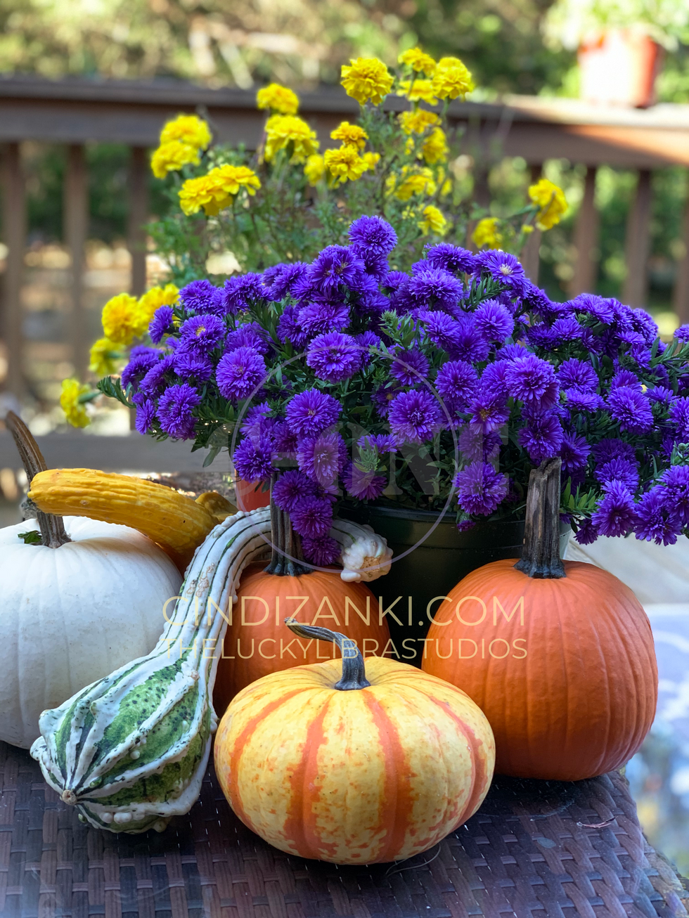 IMG_0931 with watermark