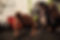 Beast Body Fitness Shane.jpg