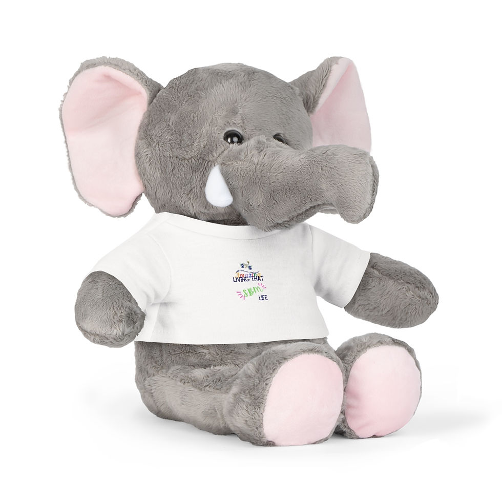 Thumbnail: Plush Toy with T-Shirt