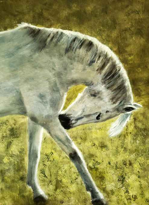 The Dancer