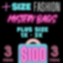 3 Item Mystery Bag ($100)
