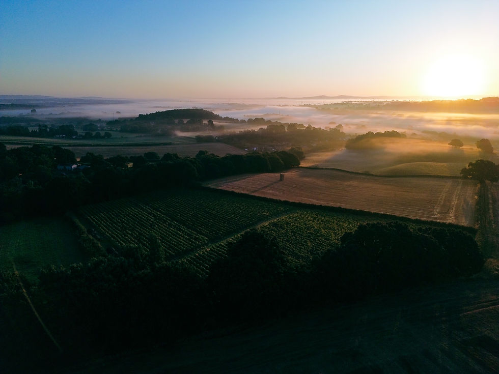 Sunrise 3 - Skys the Limit