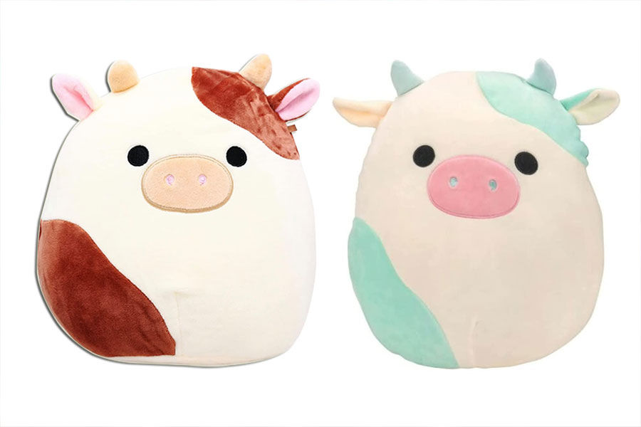 From Ronnie Squishmallow's birthday to family members and editions, all your burning questions are covered in addition to unboxing videos and photos captured by fans.