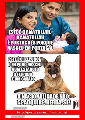 felpudo.jpg