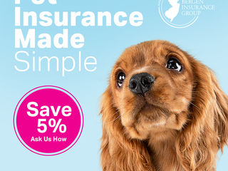 Get 5% OFF - FIGO Pet Insurance