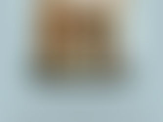 On Exhibit and the Encinitas City Library