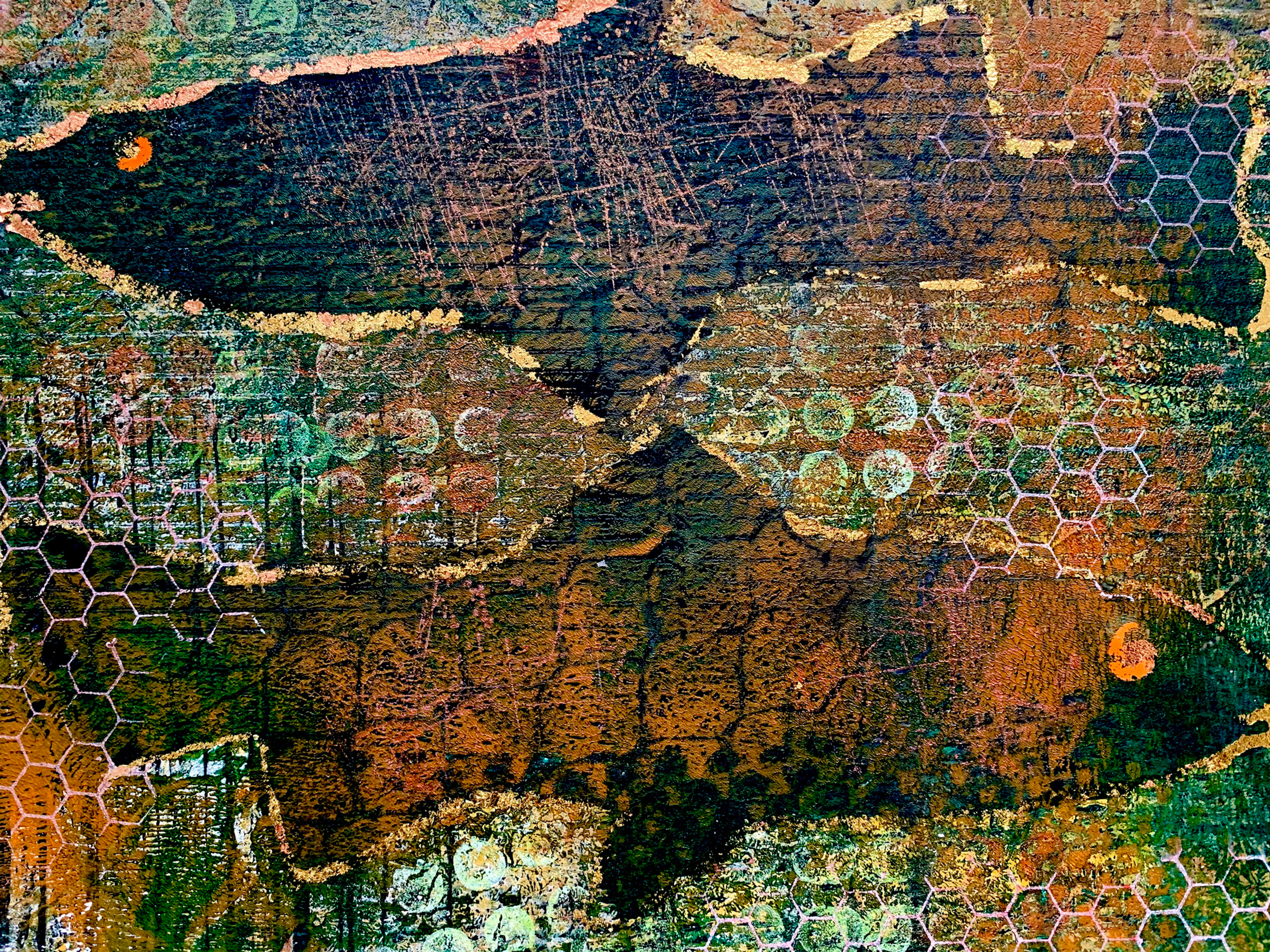 Swimming Up + Down Stream