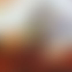 Recycling Life (still life)