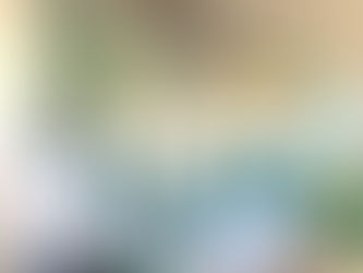Studio News